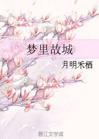 《梦里故城》