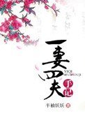 《一妻四夫手記》