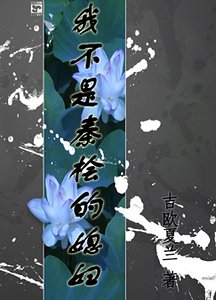 我不是秦檜的媳婦!