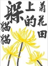 菊花田上的躲躲貓