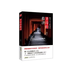 圣母的救济:数学女王的复仇(出书版)