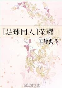 (足球同人)荣耀