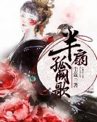 《半扇孤闕歌》