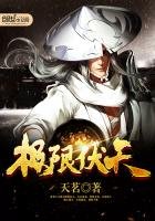 《极限伏天》