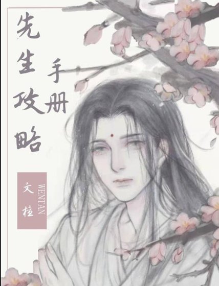 先生攻略手册