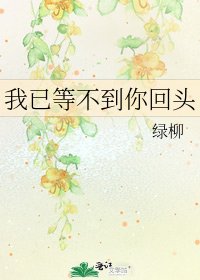 我已等不到你回头
