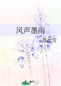 《风声墨雨》