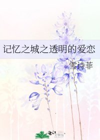 《記憶之城之透明的愛戀》
