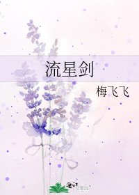 《流星劍》