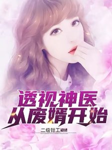 透視神醫從廢婿開始