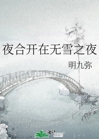 《夜合开在无雪之夜》