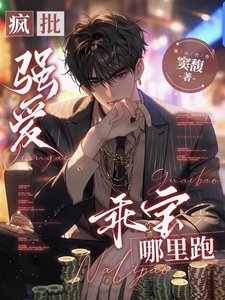 疯批强爱:乖宝,哪里跑/囚爱:无路可逃