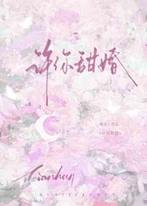 许你甜婚