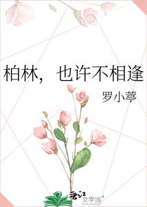 柏林也许不相逢
