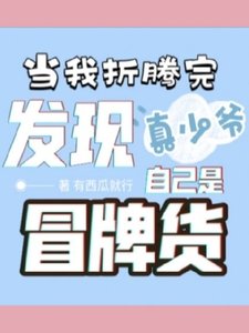 当我折腾完真少爷,发现自己是冒牌货