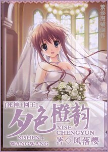 (死神+网王同人)夕色橙韵